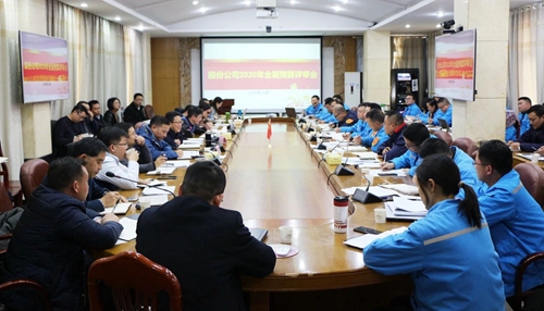 王大真調(diào)研指導股份公司、化機公司和TMP新項目2020年財務(wù)預算工作(圖1)