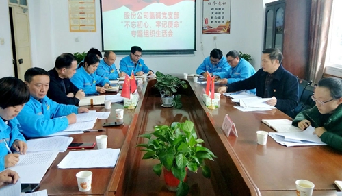 向宇飛列席指導(dǎo)股份公司氯堿黨支部“不忘初心、牢記使命”專題組織生活會(huì)(圖1)