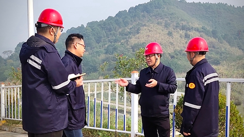 王大真到松滋肥業(yè)、楚星公司、新材料公司和股份公司現(xiàn)場(chǎng)調(diào)研(圖1)