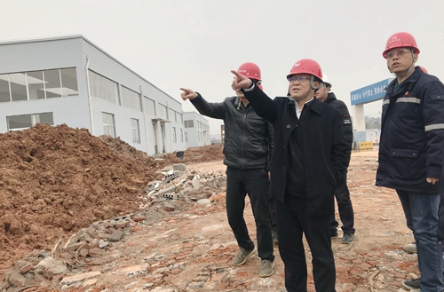 王大真到新材料公司、TPO項目現(xiàn)場和股份公司檢查工作(圖2)