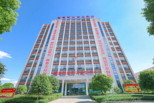 湖北省第一批“荊楚工匠學(xué)院”！宜化職業(yè)培訓(xùn)中心獲授牌(圖2)